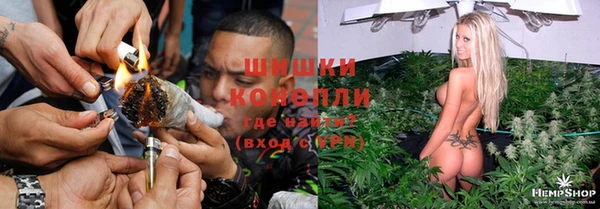 круглые Белокуриха