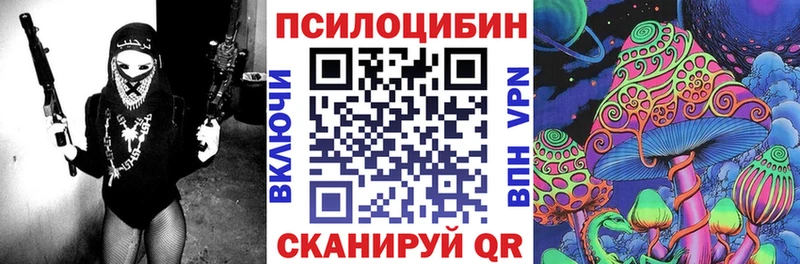 дарк нет формула  Новотитаровская  Псилоцибиновые грибы Cubensis 
